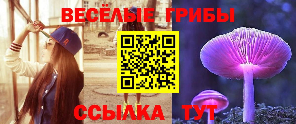 магазин продажи   Вход с VPN  Североморск  Псилоцибиновые грибы MAGIC MUSHROOMS 
